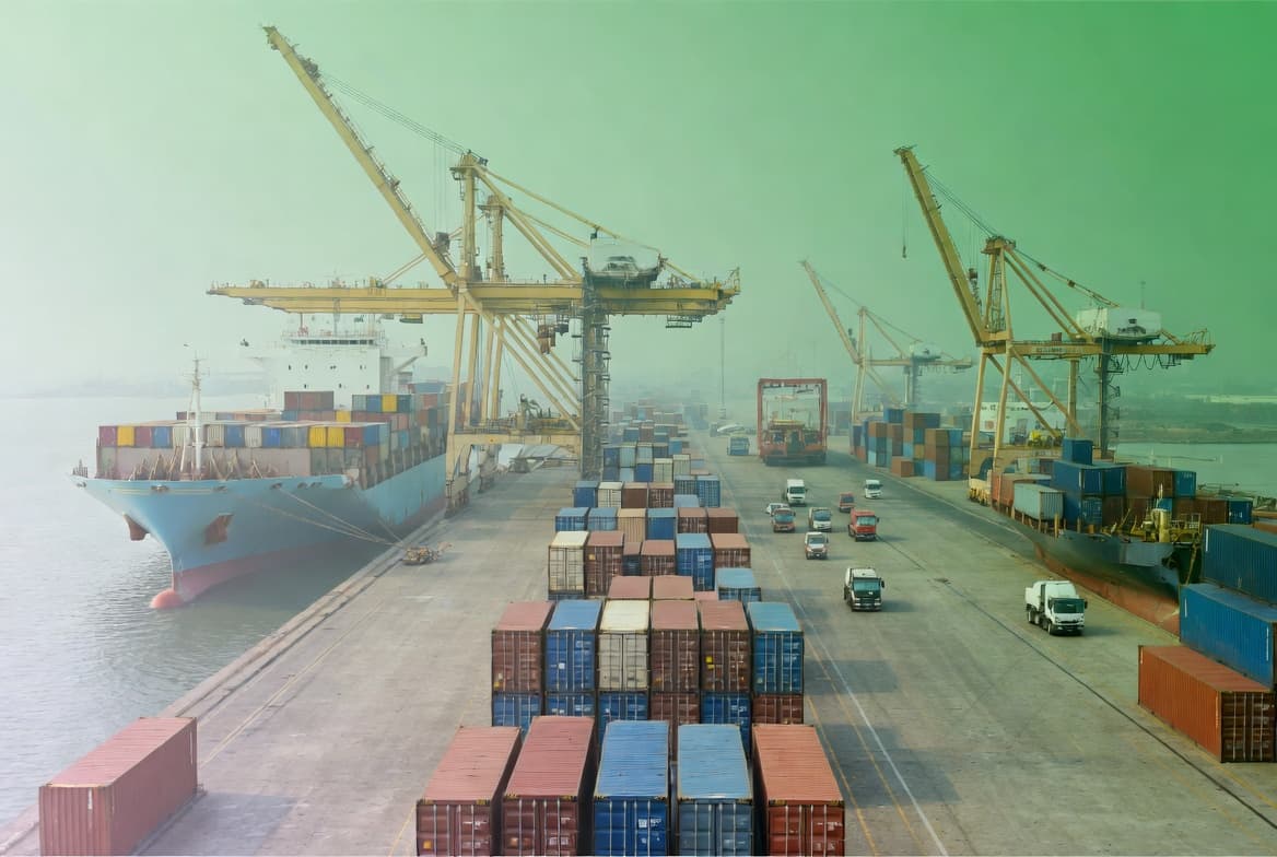 Browse export and import procedures